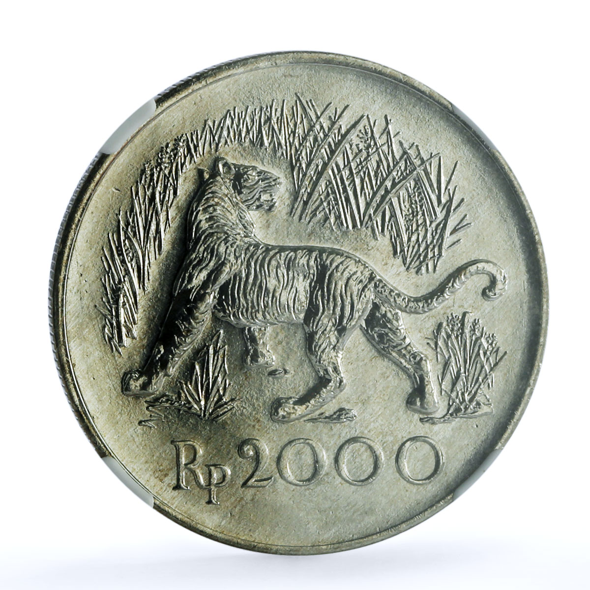 Indonesia 2000 rupiah Javan Tiger KM-39 Cat Fauna MS 65 NGC silver coin 1974 Indonesia 2000 rupiah Javan Tiger KM-39 Cat Fauna MS 65 NGC silver coin 1974
