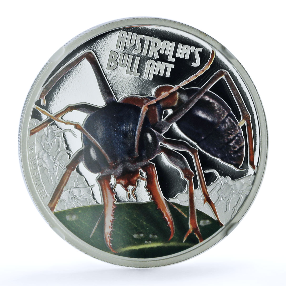 Tuvalu 1 dollar Australia Bull Ant Wildlife Fauna PF 70 NGC silver coin 2015 Tuvalu 1 dollar Australia Bull Ant Wildlife Fauna PF 70 NGC silver coin 2015