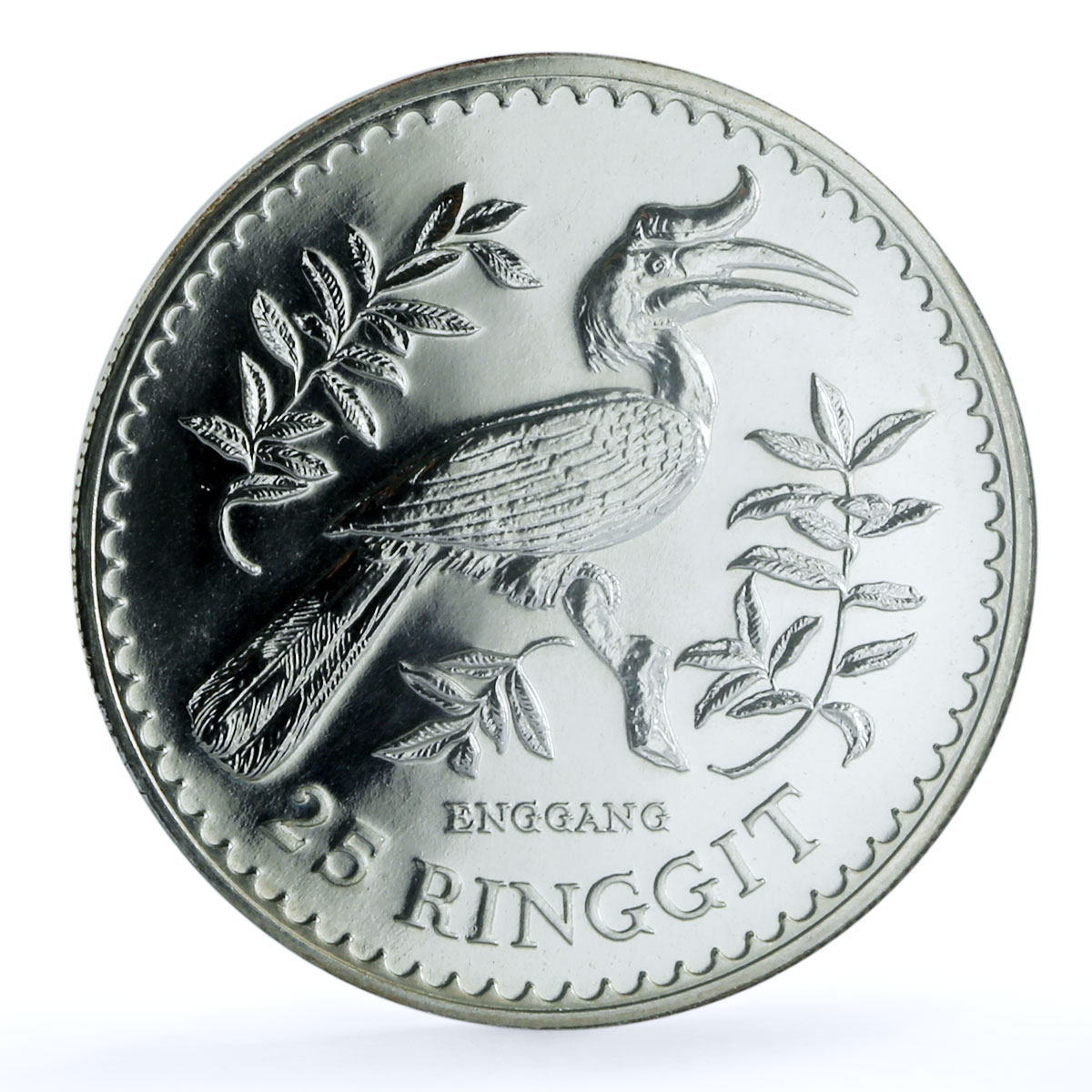 Malaysia 25 ringgit Hornbill KM-20 Bird Wildlife Fauna PF67 NGC silver coin 1976