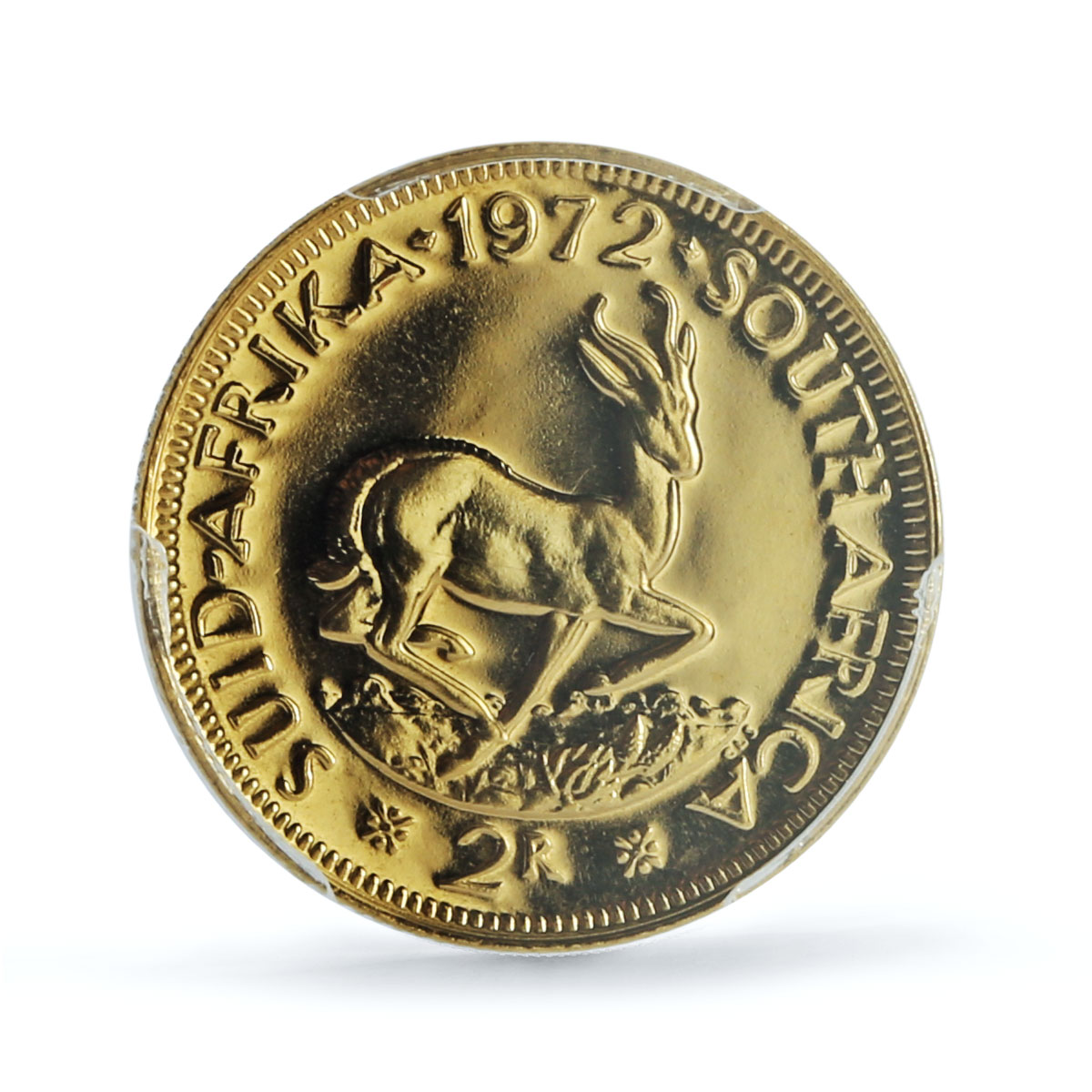 South Africa 2 rand Riebeeck Springbok KM-64 PR 65 PCGS Bullion gold coin 1972 South Africa 2 rand Riebeeck Springbok KM-64 PR 65 PCGS Bullion gold coin 1972