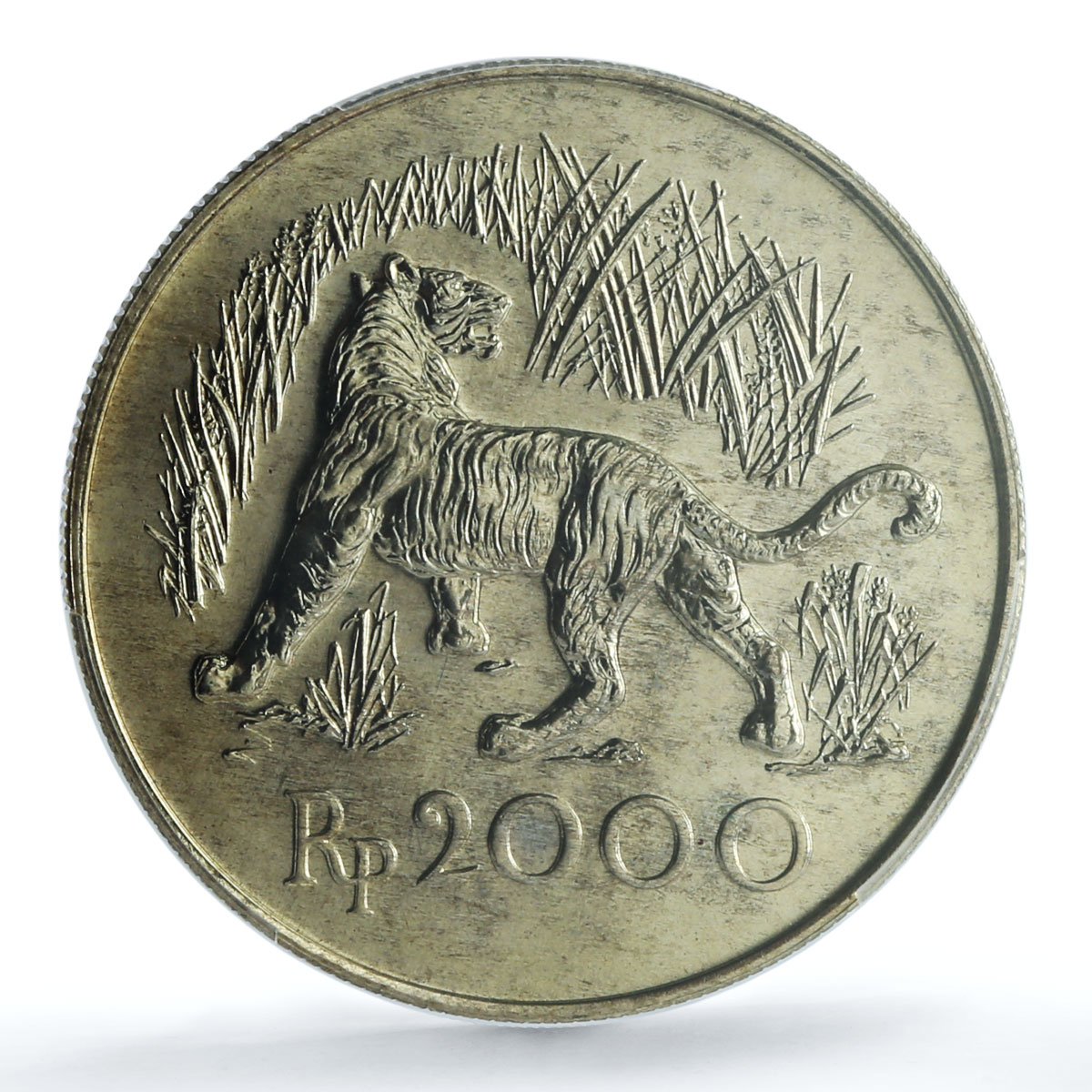 Indonesia 2000 rupiah Javan Tiger KM-39 Cat Fauna MS 67 PCGS silver coin 1974 Indonesia 2000 rupiah Javan Tiger KM-39 Cat Fauna MS 67 PCGS silver coin 1974