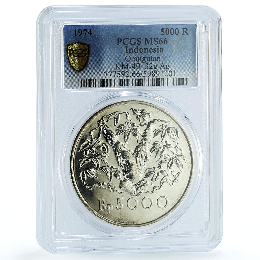 Indonesia 5000 rupiah Orangutan KM-40 Monkey Fauna MS 66 PCGS silver coin 1974