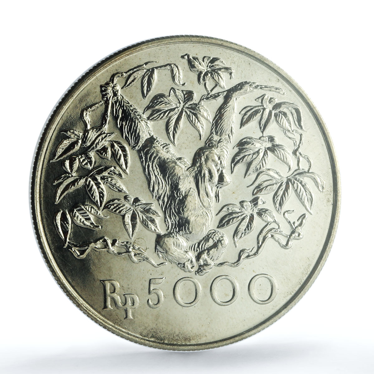 Indonesia 5000 rupiah Orangutan KM-40 Monkey Fauna MS 66 PCGS silver coin 1974