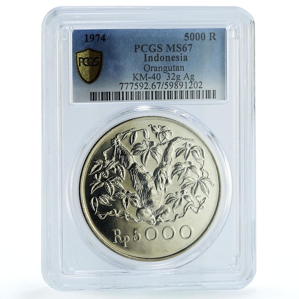 Indonesia 5000 rupiah Orangutan KM-40 Monkey Fauna MS 67 PCGS silver coin 1974 Indonesia 5000 rupiah Orangutan KM-40 Monkey Fauna MS 67 PCGS silver coin 1974