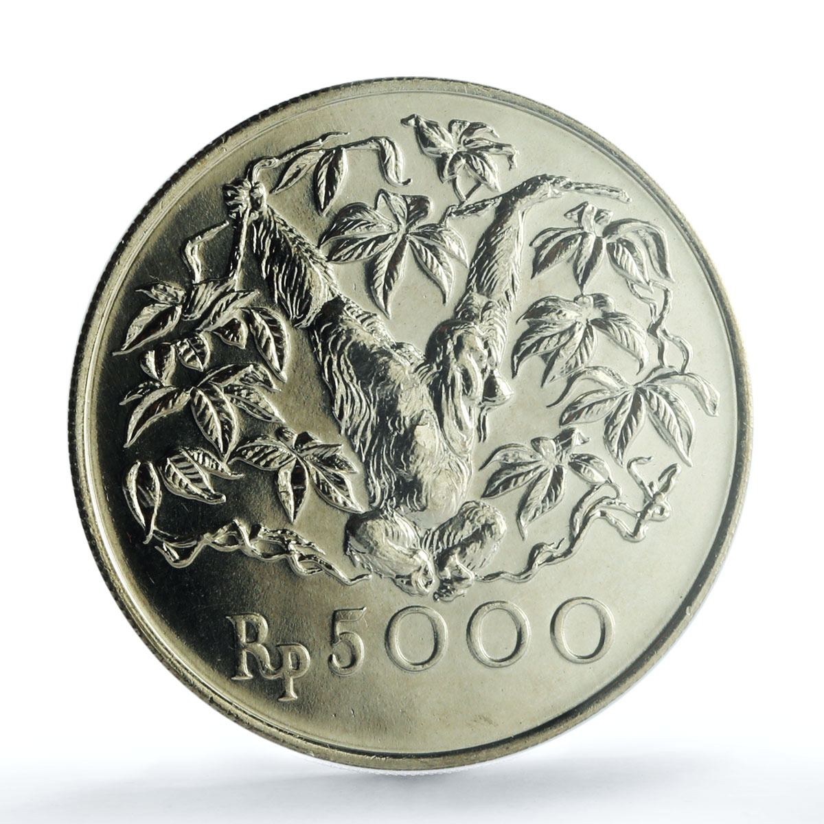 Indonesia 5000 rupiah Orangutan KM-40 Monkey Fauna MS 67 PCGS silver coin 1974 Indonesia 5000 rupiah Orangutan KM-40 Monkey Fauna MS 67 PCGS silver coin 1974