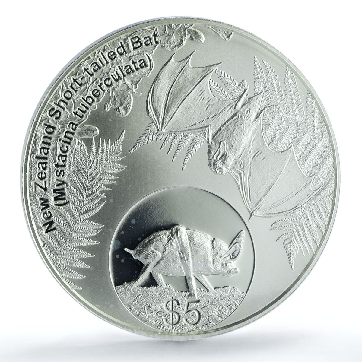 New Zealand 5 dollars Short Tailed Bat KM-379 Fauna PR 68 PCGS CuNi coin 2013 New Zealand 5 dollars Short Tailed Bat KM-379 Fauna PR 68 PCGS CuNi coin 2013