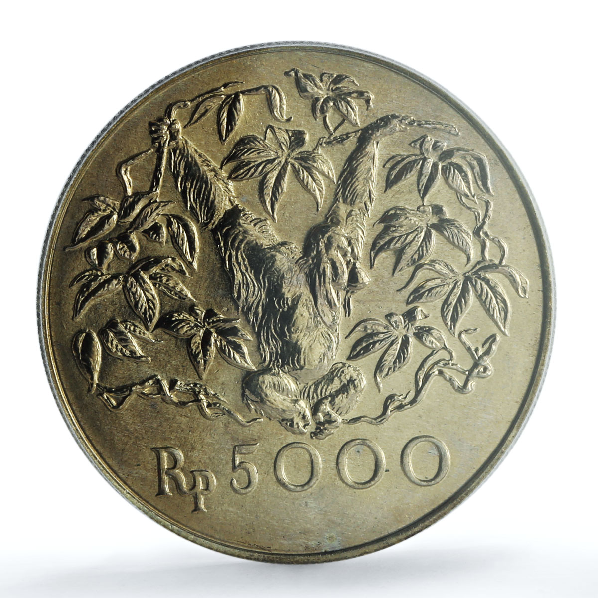 Indonesia 5000 rupiah Orangutan KM-40 Monkey Fauna MS 68 PCGS silver coin 1974