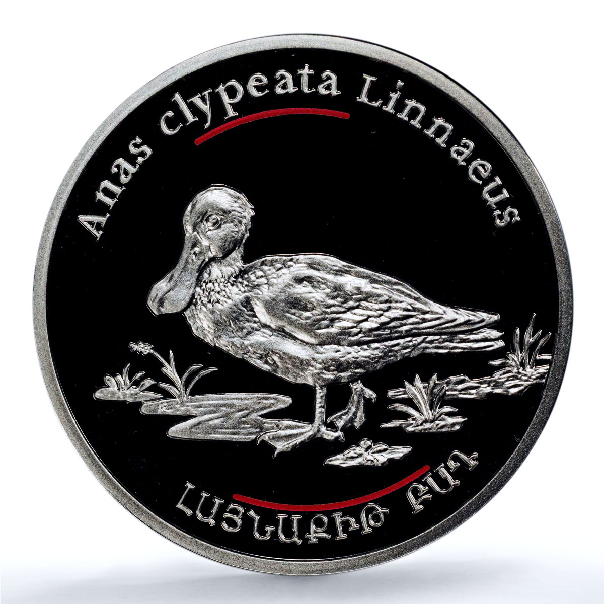 Armenia 100 dram Shoveler Duck KM-136 Red Book Bird PR 69 PCGS silver coin 2007