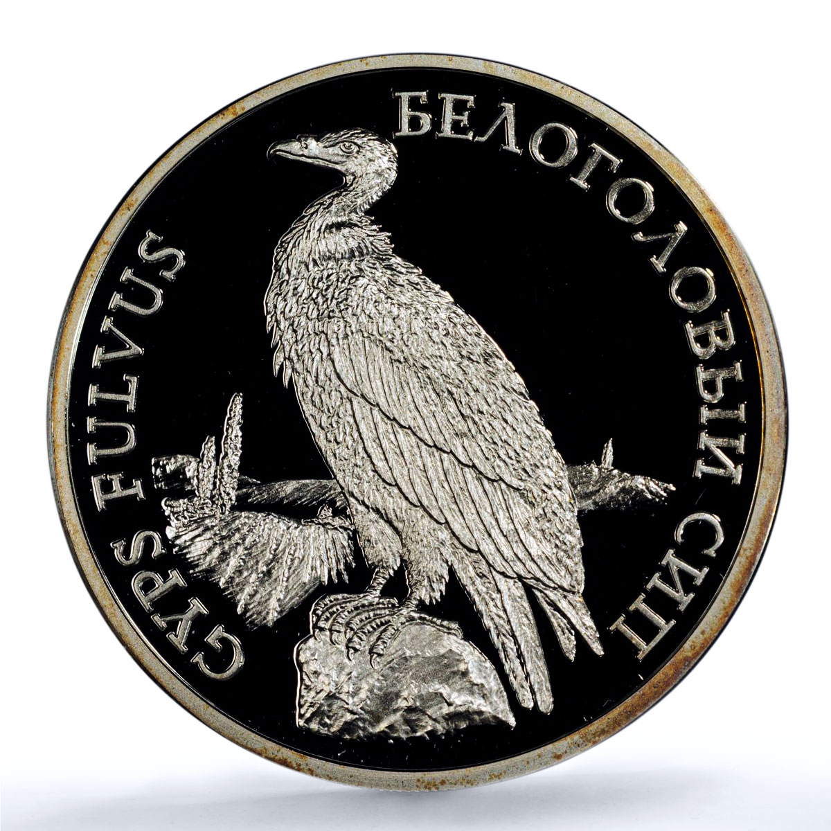 Transnistria 100 roubles Griffon Vulture KM-60 Bird PL 70 PCGS silver coin 2005 Transnistria 100 roubles Griffon Vulture KM-60 Bird PL 70 PCGS silver coin 2005