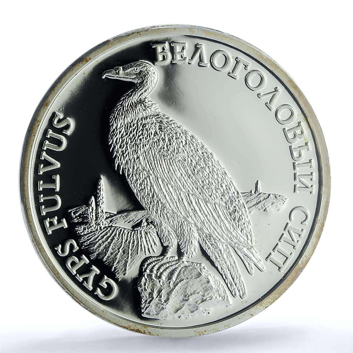 Transnistria 100 roubles Griffon Vulture KM-60 Bird PL 70 PCGS silver coin 2005 Transnistria 100 roubles Griffon Vulture KM-60 Bird PL 70 PCGS silver coin 2005