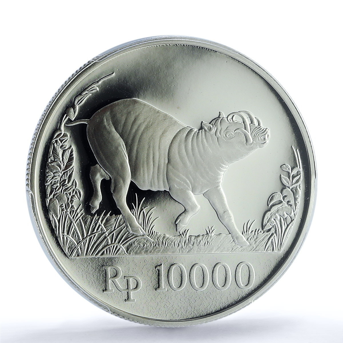 Indonesia 10000 rupiah Babi Rusa KM-45 Wildife Pig PR 69 PCGS silver coin 1987 Indonesia 10000 rupiah Babi Rusa KM-45 Wildife Pig PR 69 PCGS silver coin 1987