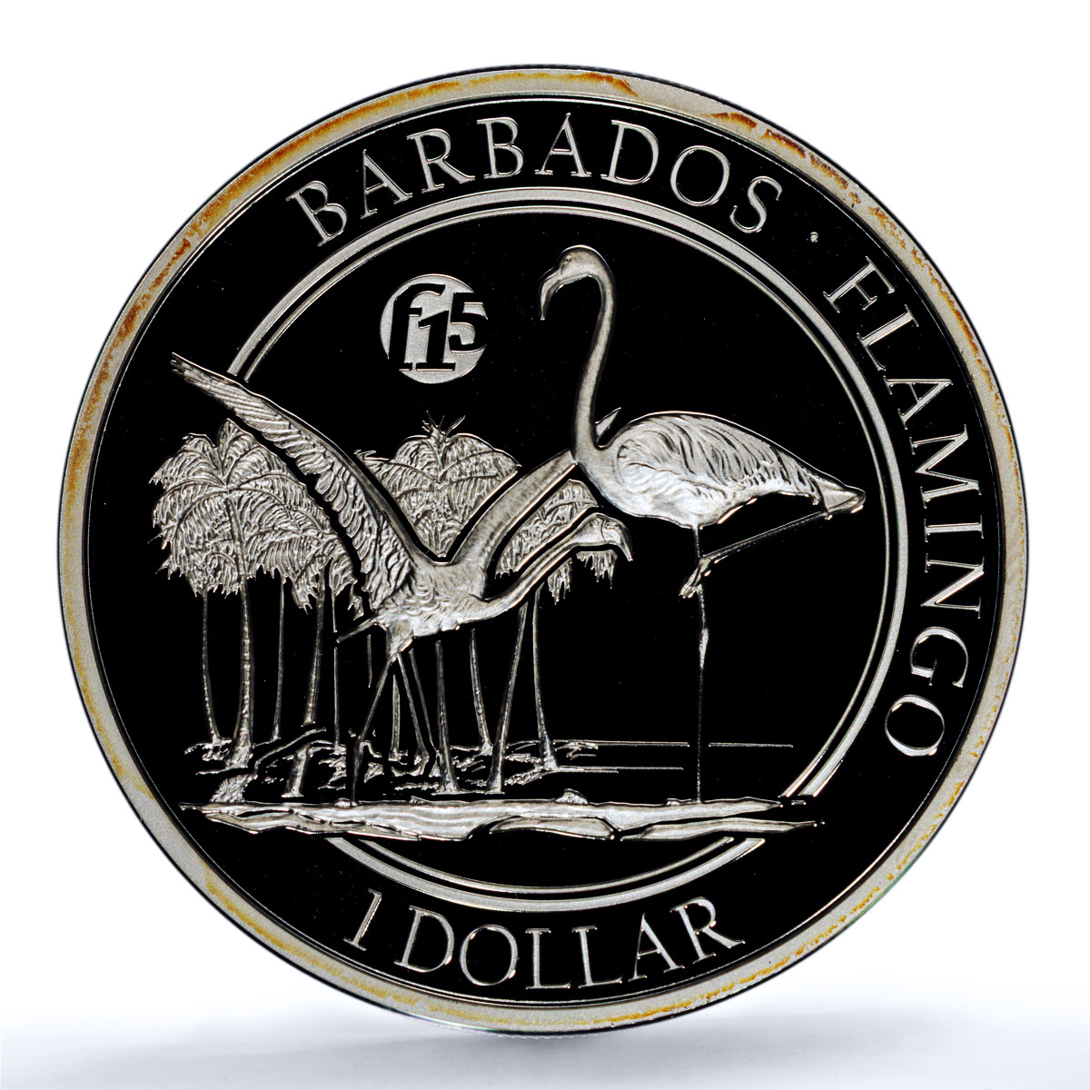 Barbados 1 dollar Flamingo F15 Mark KM-81 Fauna Bird PR 69 PCGS silver coin 2016