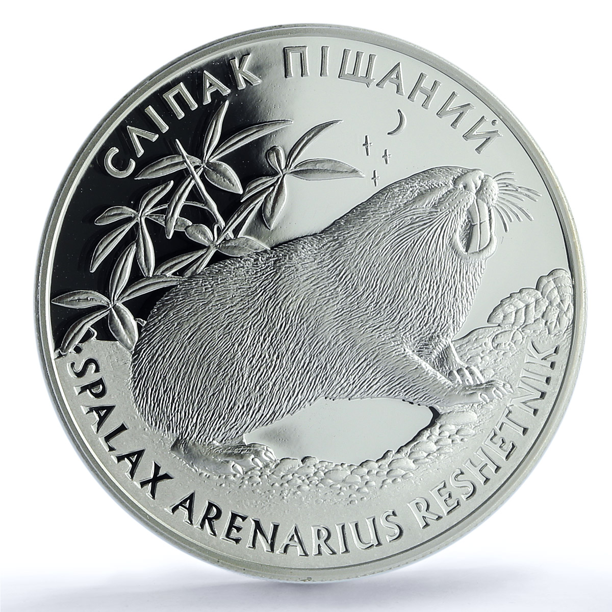 Ukraine 10 hryvnias Sandy Mole Rat KM-358 Fauna PR 70 PCGS silver coin 2005