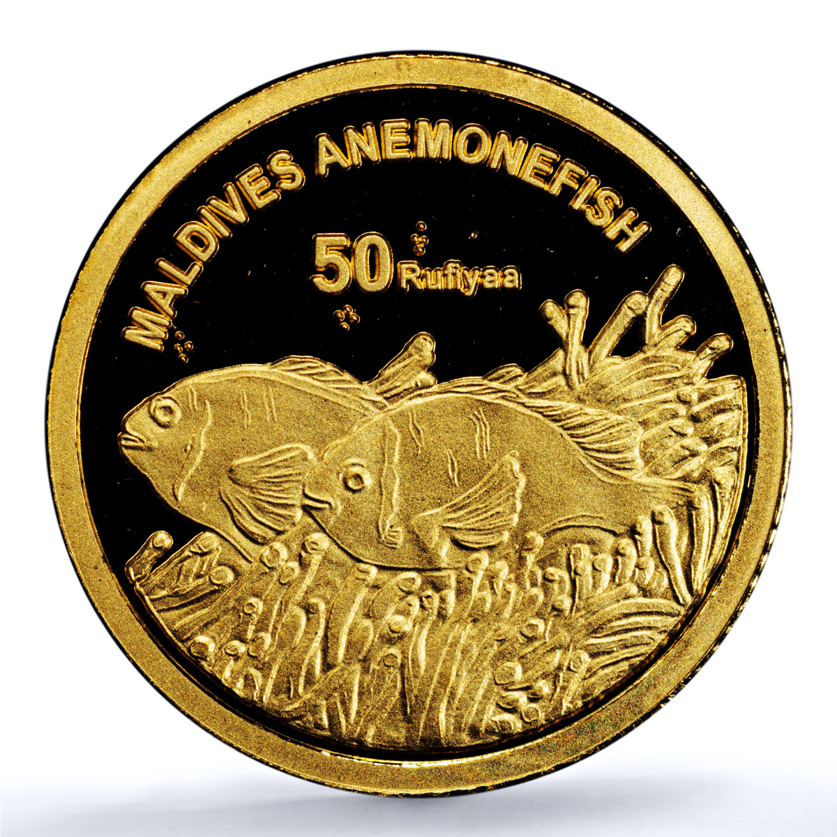 Maldives 50 rufiyaa Anemonefish KM-108 Marine Fauna PR 69 PCGS gold coin 2011 Maldives 50 rufiyaa Anemonefish KM-108 Marine Fauna PR 69 PCGS gold coin 2011