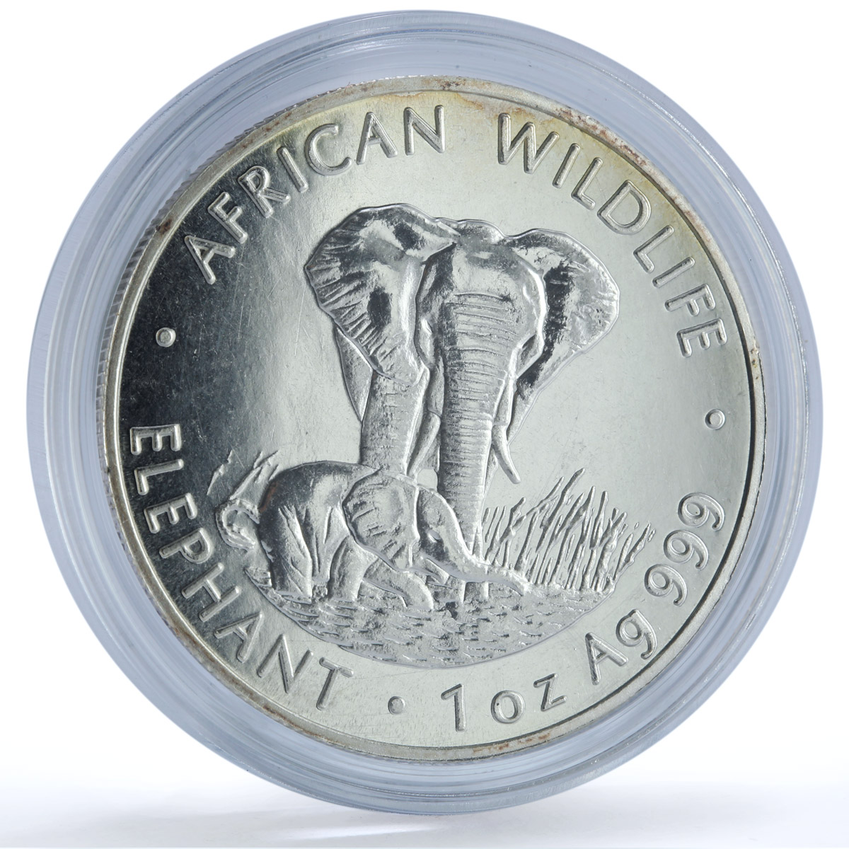 Zambia 5000 kwacha Elephant KM-73 African Wildlife Fauna silver coin 1999