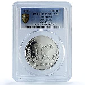 Indonesia 10000 rupiah Babi Rusa KM-45 Wildlife Pig PR 67 PCGS silver coin 1987