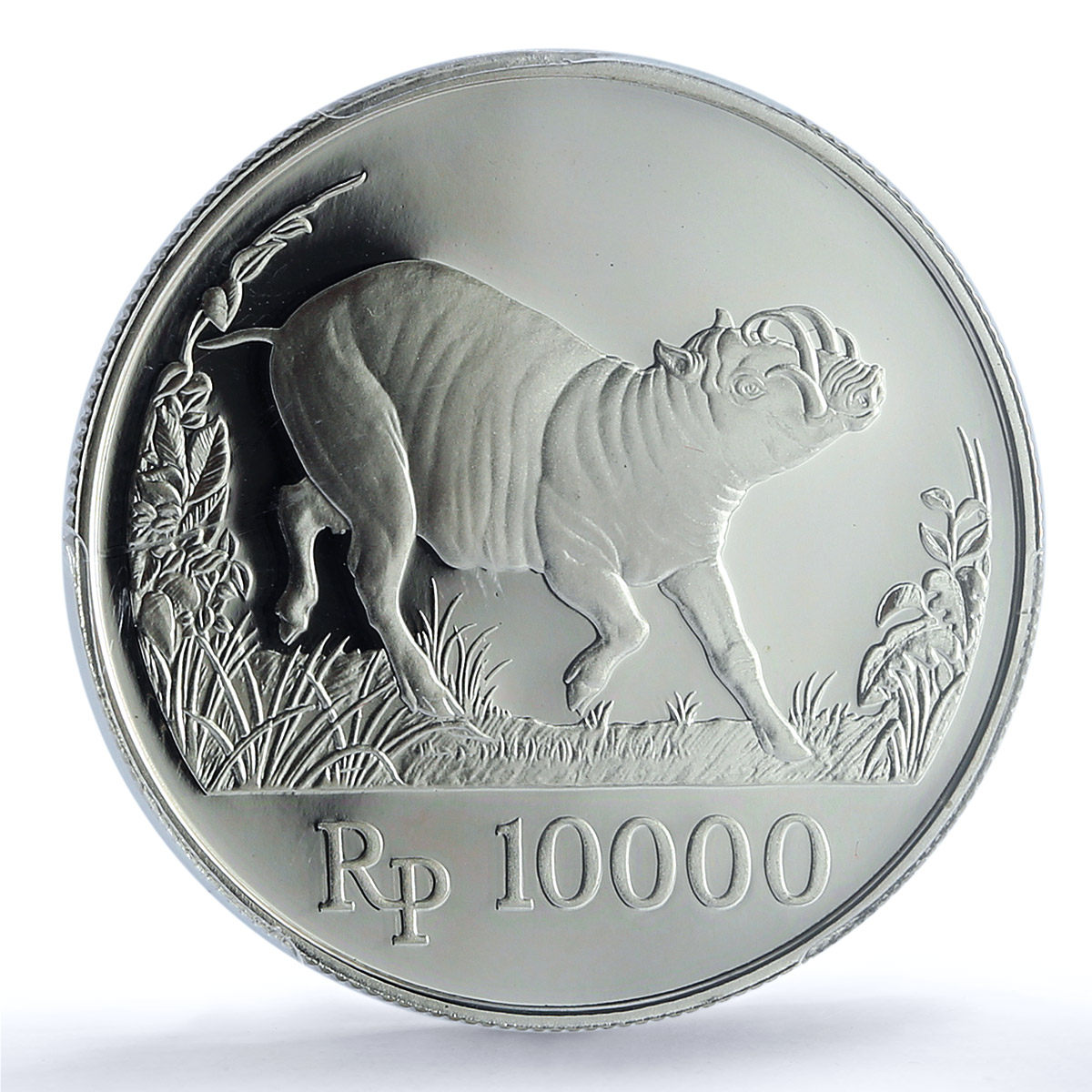 Indonesia 10000 rupiah Babi Rusa KM-45 Wildlife Pig PR 67 PCGS silver coin 1987