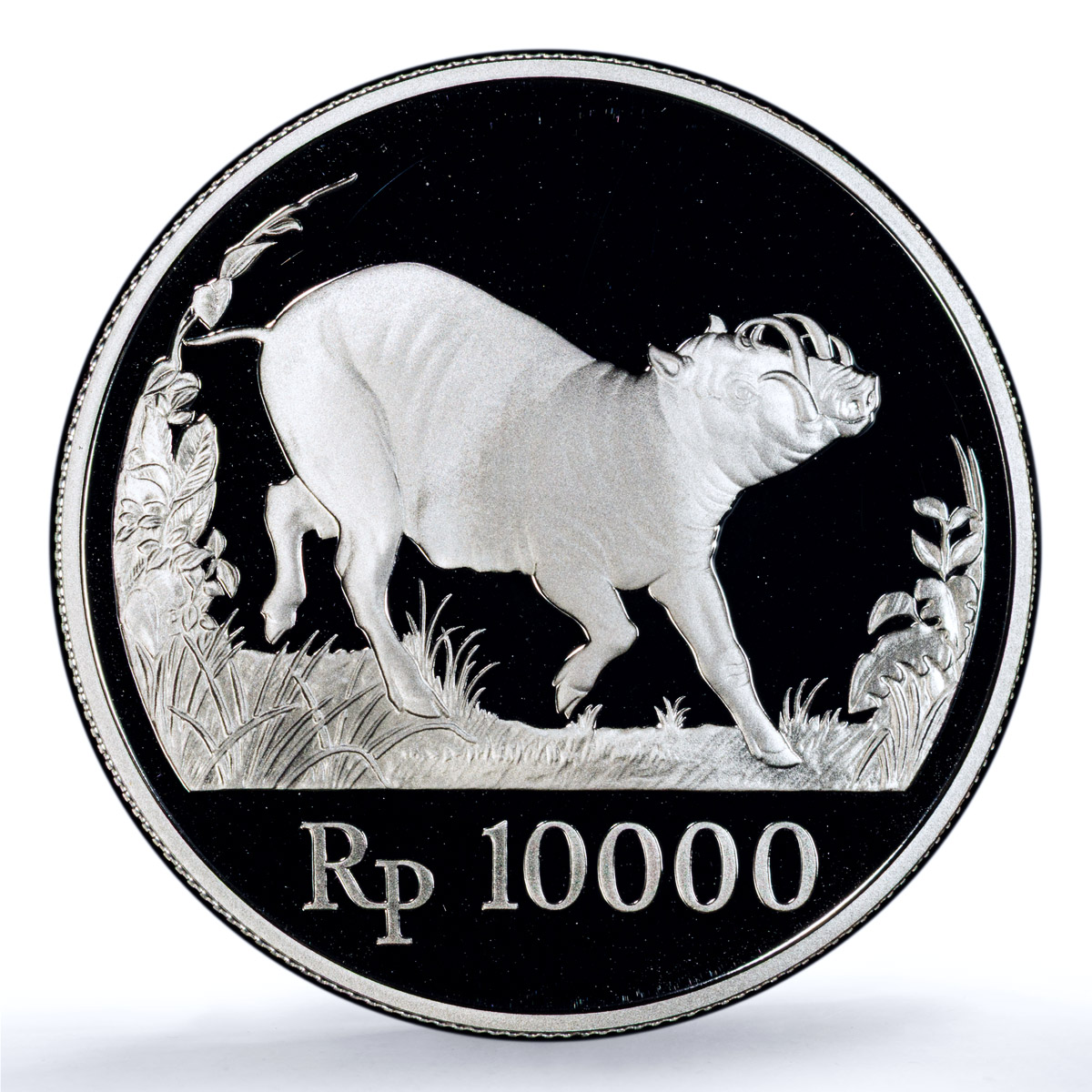 Indonesia 10000 rupiah Babi Rusa KM-45 Wildlife Pig PR 70 PCGS silver coin 1987