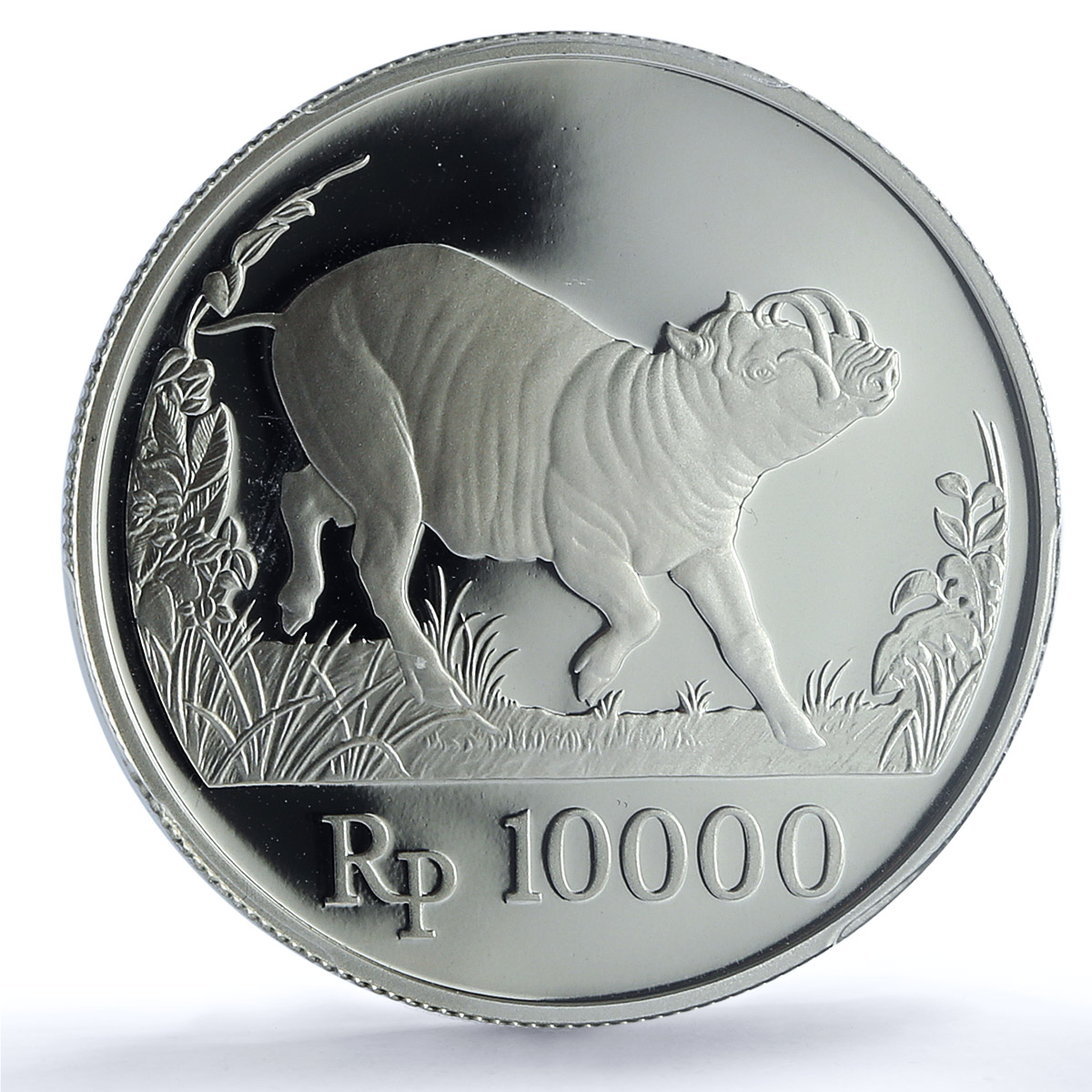 Indonesia 10000 rupiah Babi Rusa KM-45 Wildlife Pig PR 70 PCGS silver coin 1987