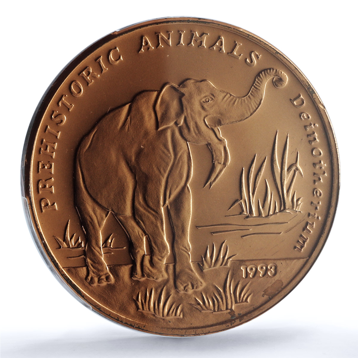 Afghanistan 50 afghanis Deinotherium KM-1024 Elephant MS65 PCGS copper coin 1993