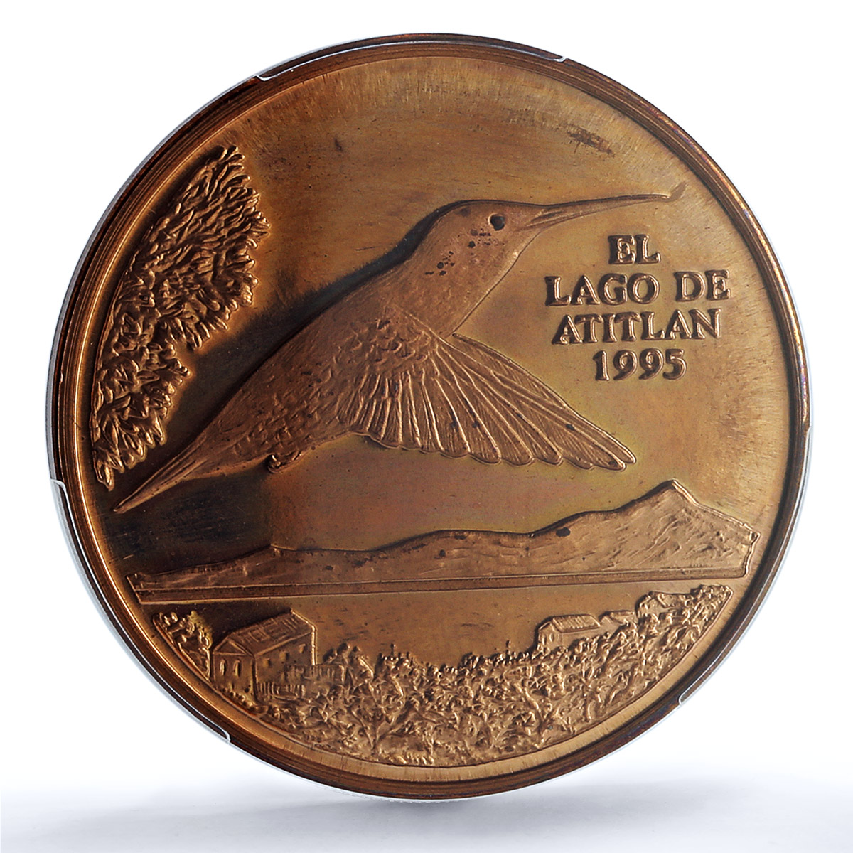 Guatemala 1 quetzal Colibri Pattern PE X#1e.2 Bird PR 67 PCGS copper coin 1995