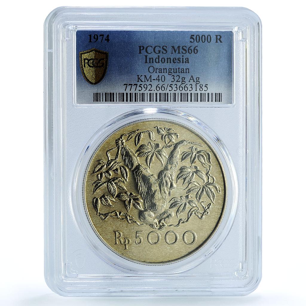 Indonesia 5000 rupiah Orangutan KM-40 Fauna Monkey MS 66 PCGS silver coin 1974 Indonesia 5000 rupiah Orangutan KM-40 Fauna Monkey MS 66 PCGS silver coin 1974