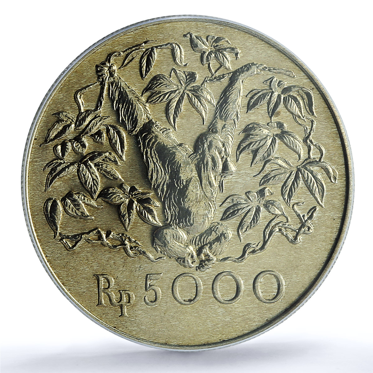 Indonesia 5000 rupiah Orangutan KM-40 Fauna Monkey MS 66 PCGS silver coin 1974 Indonesia 5000 rupiah Orangutan KM-40 Fauna Monkey MS 66 PCGS silver coin 1974