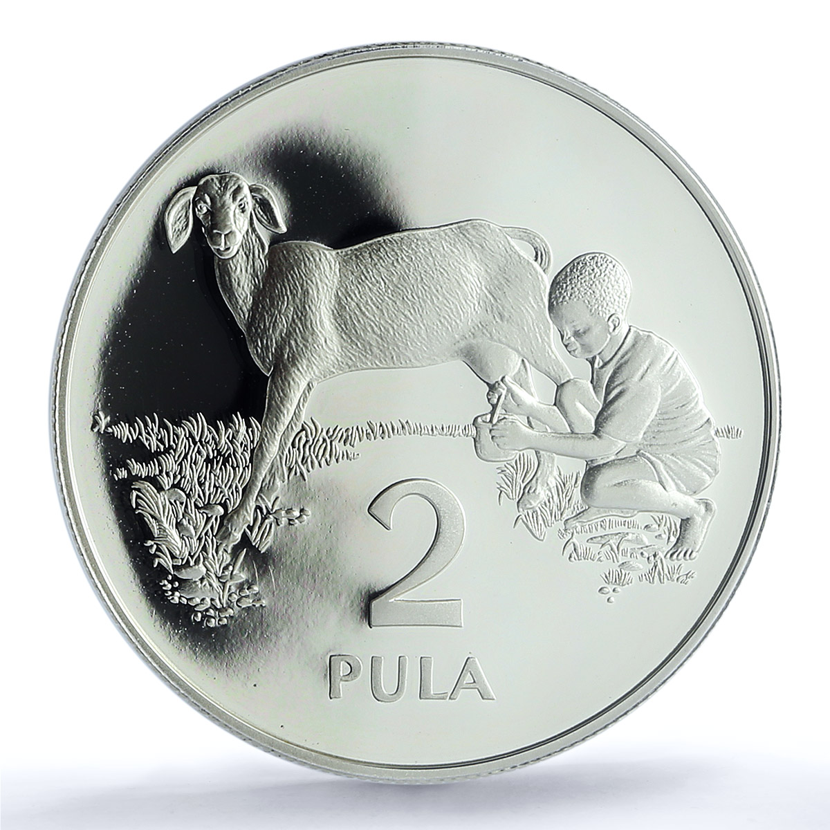 Botswana 2 pula Save the Children KM-22 UNICEF Sheep PR 69 PCGS silver coin 1989 Botswana 2 pula Save the Children KM-22 UNICEF Sheep PR 69 PCGS silver coin 1989