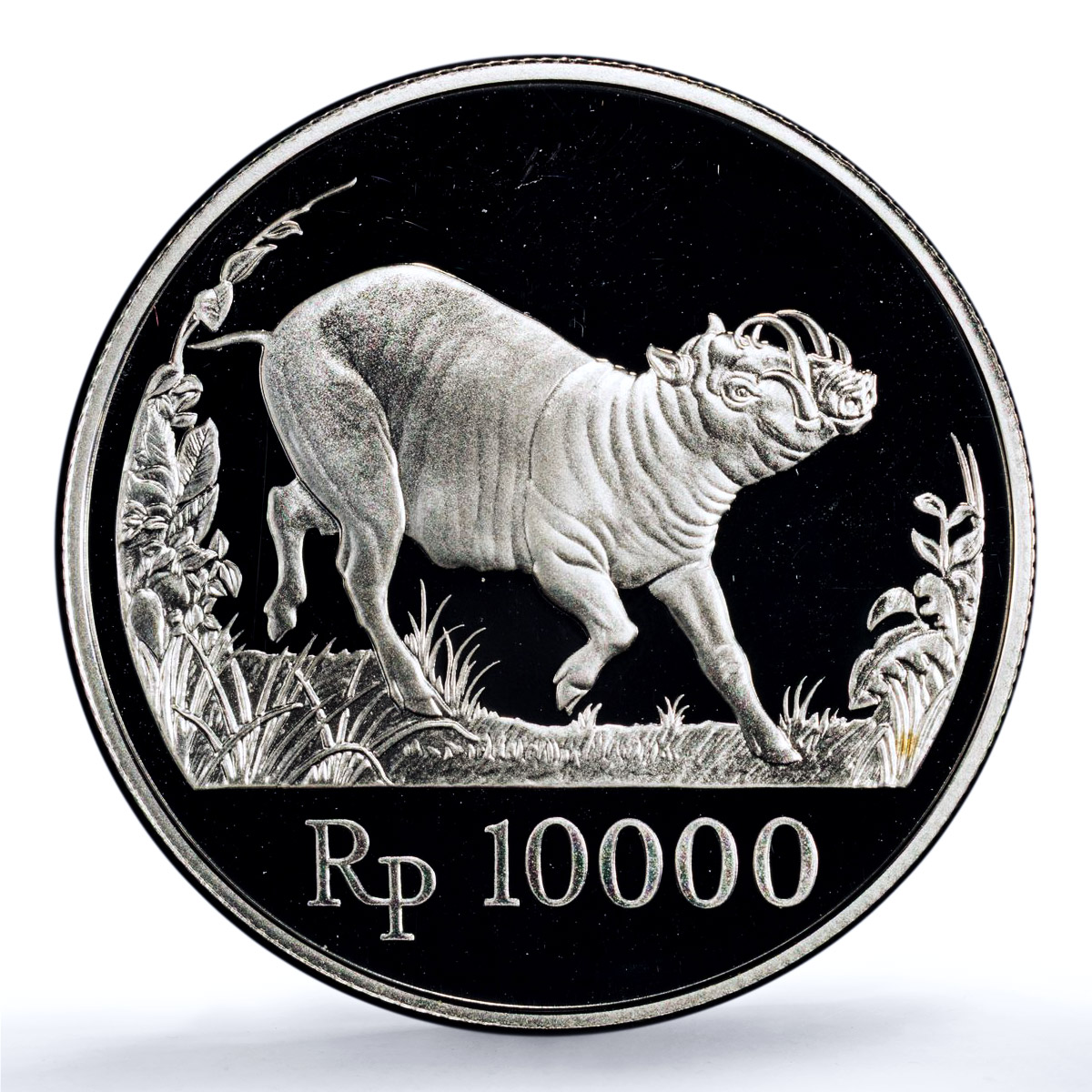 Indonesia 10000 rupiah Babi Rusa KM-45 Wildlife Pig PR 69 PCGS silver coin 1987 Indonesia 10000 rupiah Babi Rusa KM-45 Wildlife Pig PR 69 PCGS silver coin 1987