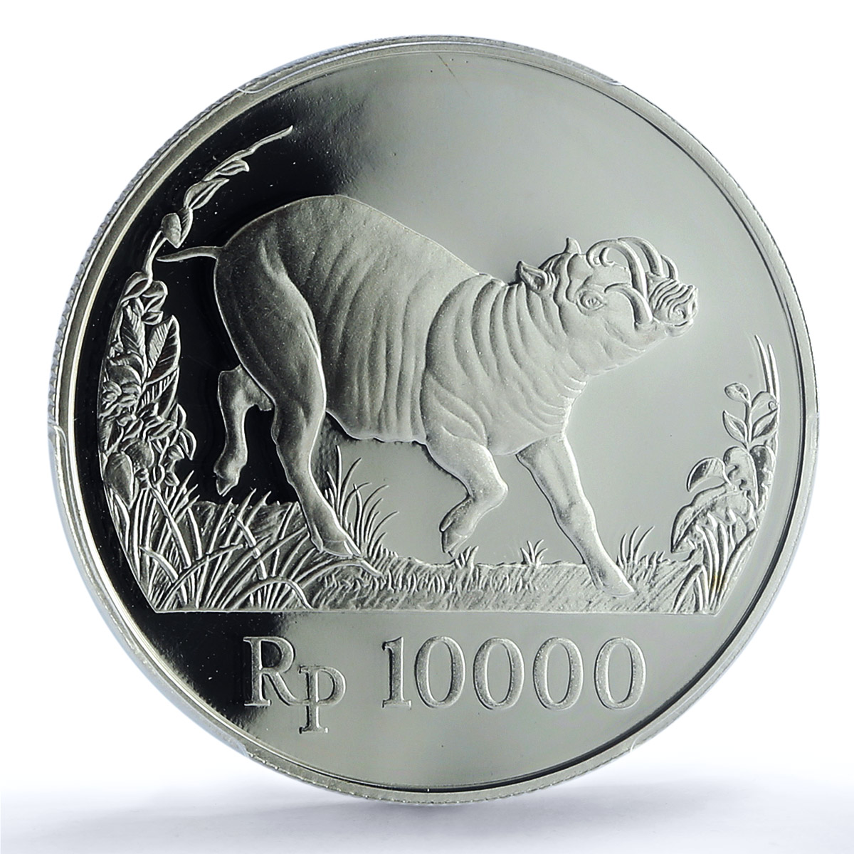Indonesia 10000 rupiah Babi Rusa KM-45 Wildlife Pig PR 69 PCGS silver coin 1987 Indonesia 10000 rupiah Babi Rusa KM-45 Wildlife Pig PR 69 PCGS silver coin 1987