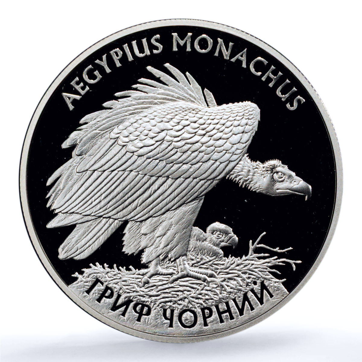 Ukraine 10 hryvnias Black Vulture KM-516 Fauna Bird PR 70 PCGS silver coin 2008