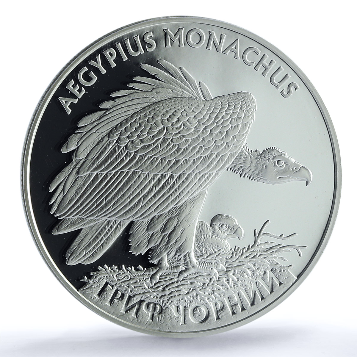 Ukraine 10 hryvnias Black Vulture KM-516 Fauna Bird PR 70 PCGS silver coin 2008