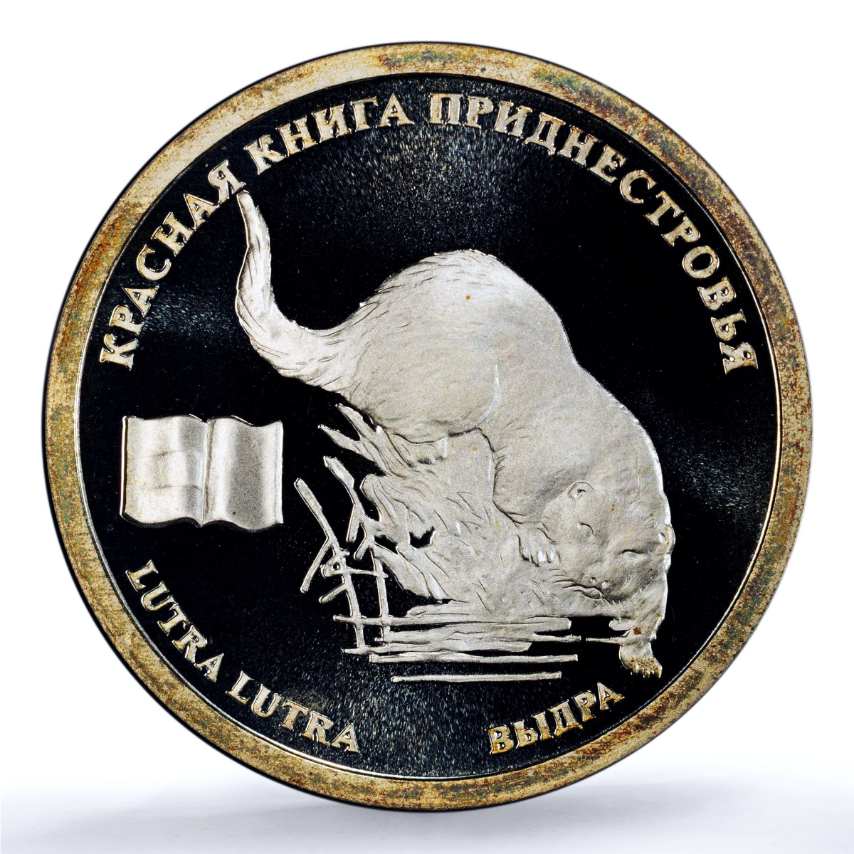 Transnistria 10 roubles Otter KM-128 Red Book Fauna PL 69 PCGS silver coin 2008