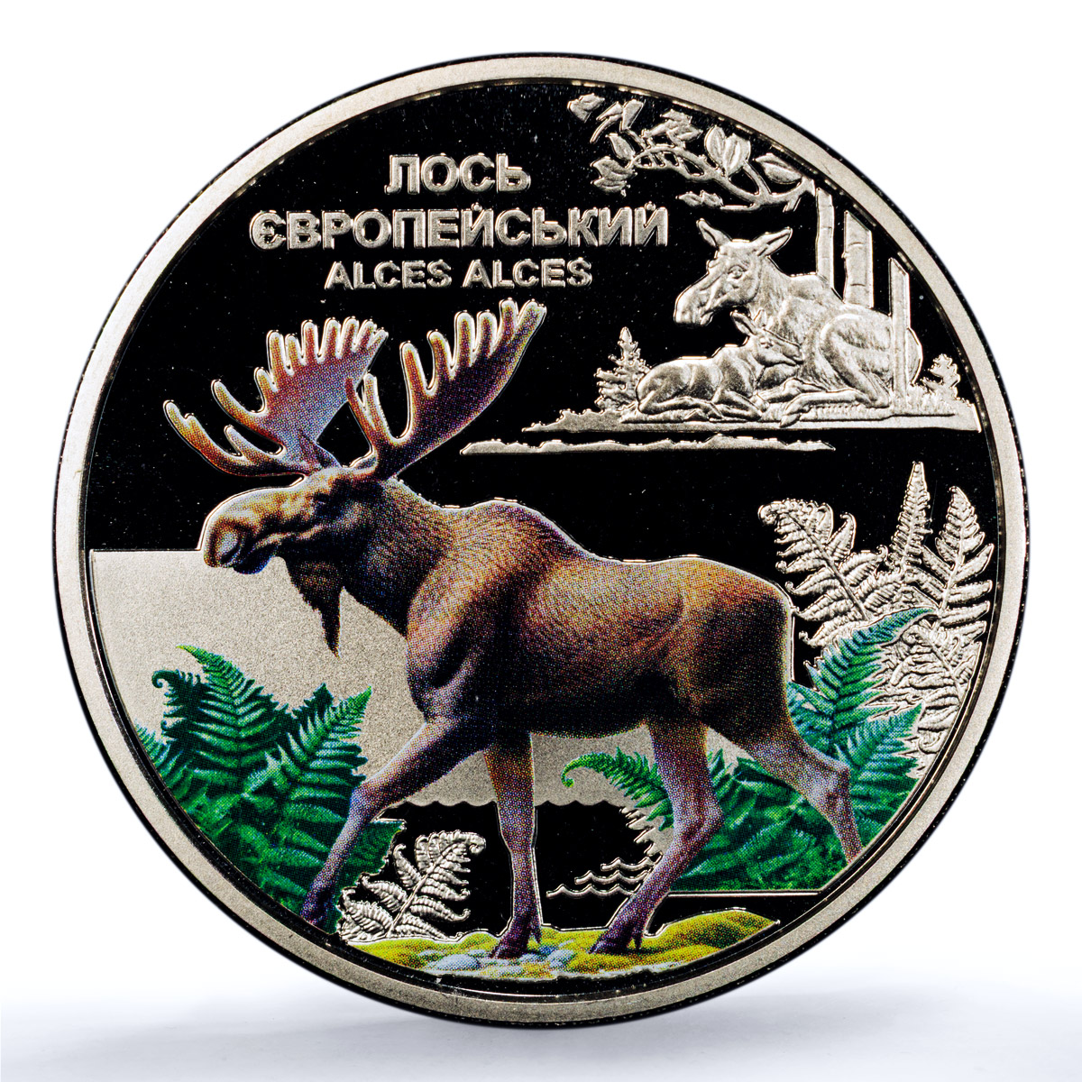 Ukraine 5 hryvnias Elk KM-1143 Chernobyl Fauna MS 70 PCGS NiBrass coin 2025