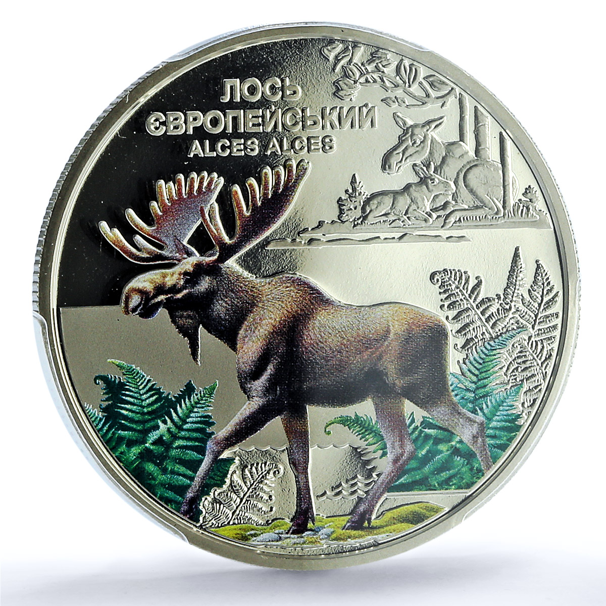 Ukraine 5 hryvnias Elk KM-1143 Chernobyl Fauna MS 70 PCGS NiBrass coin 2025