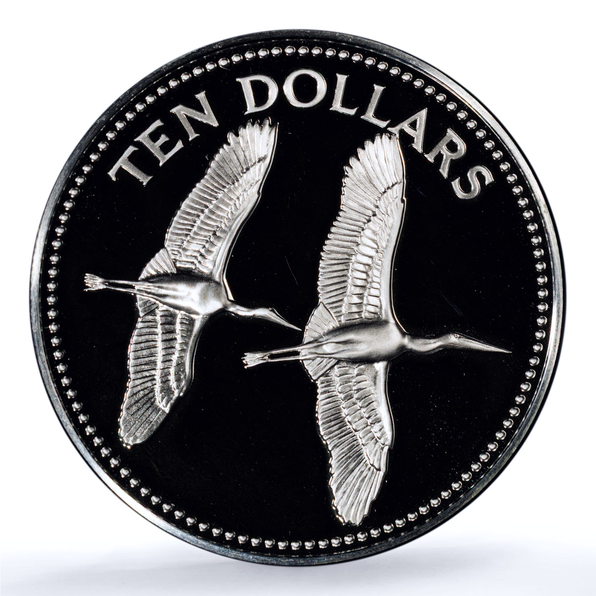 Belize 10 dollars Elizabeth II KM-57a Jabirus Birds PR 70 PCGS silver coin 1979