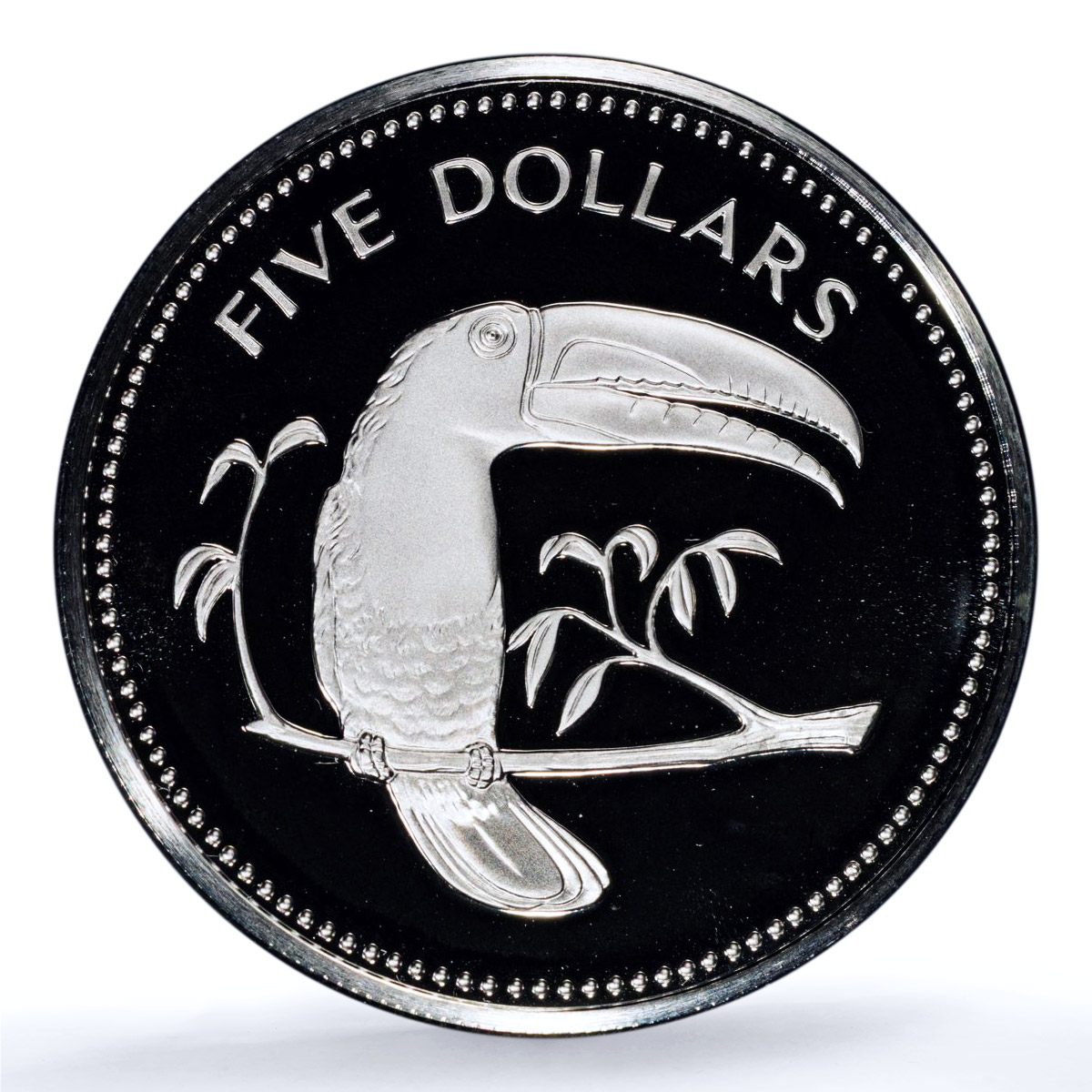 Belize 5 dollars Elizabeth II KM-44a Toucan Bird PR 69 PCGS silver coin 1981