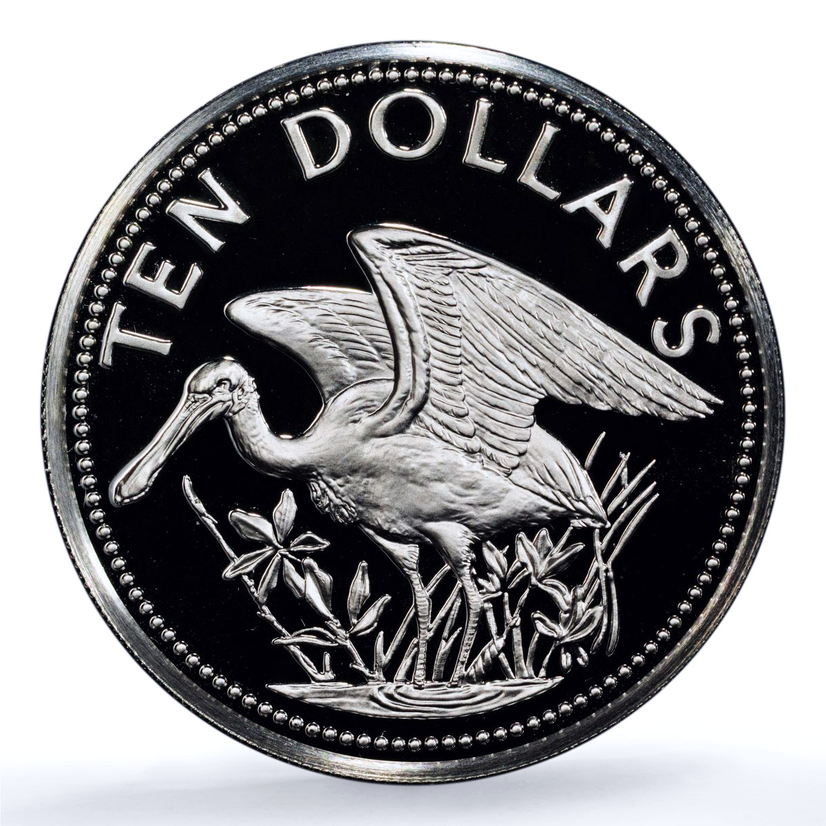 Belize 10 dollars Elizabeth II KM-65a Spoonbill Bird PR 70 PCGS silver coin 1981