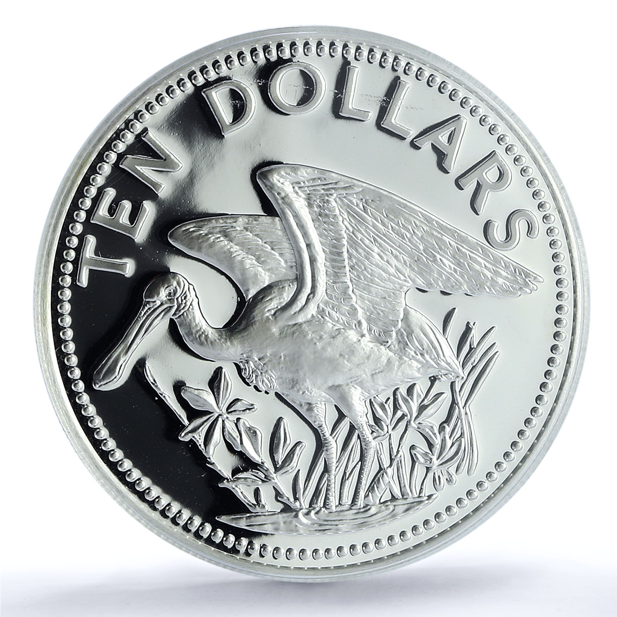 Belize 10 dollars Elizabeth II KM-65a Spoonbill Bird PR 70 PCGS silver coin 1981