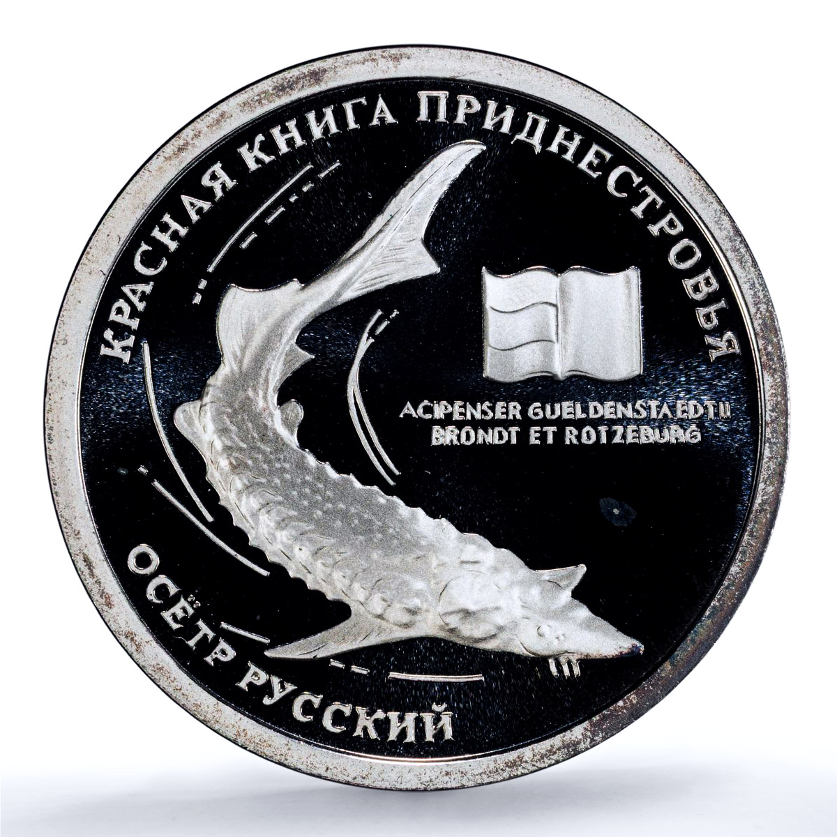 Transnistria 10 roubles Sturgeon KM-125 Fauna Fish PL 69 PCGS silver coin 2008