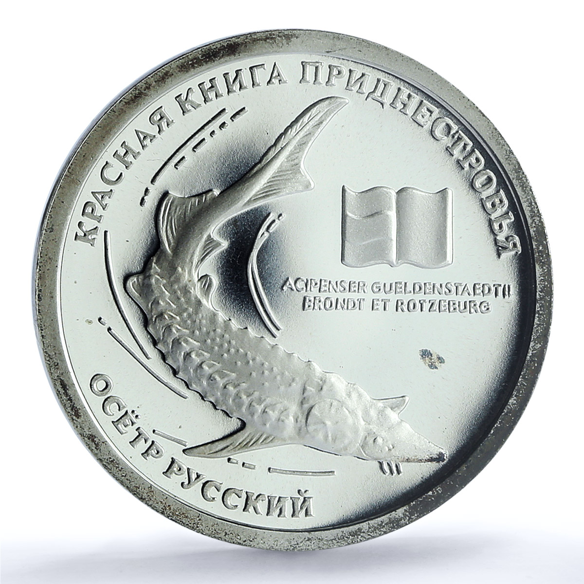 Transnistria 10 roubles Sturgeon KM-125 Fauna Fish PL 69 PCGS silver coin 2008