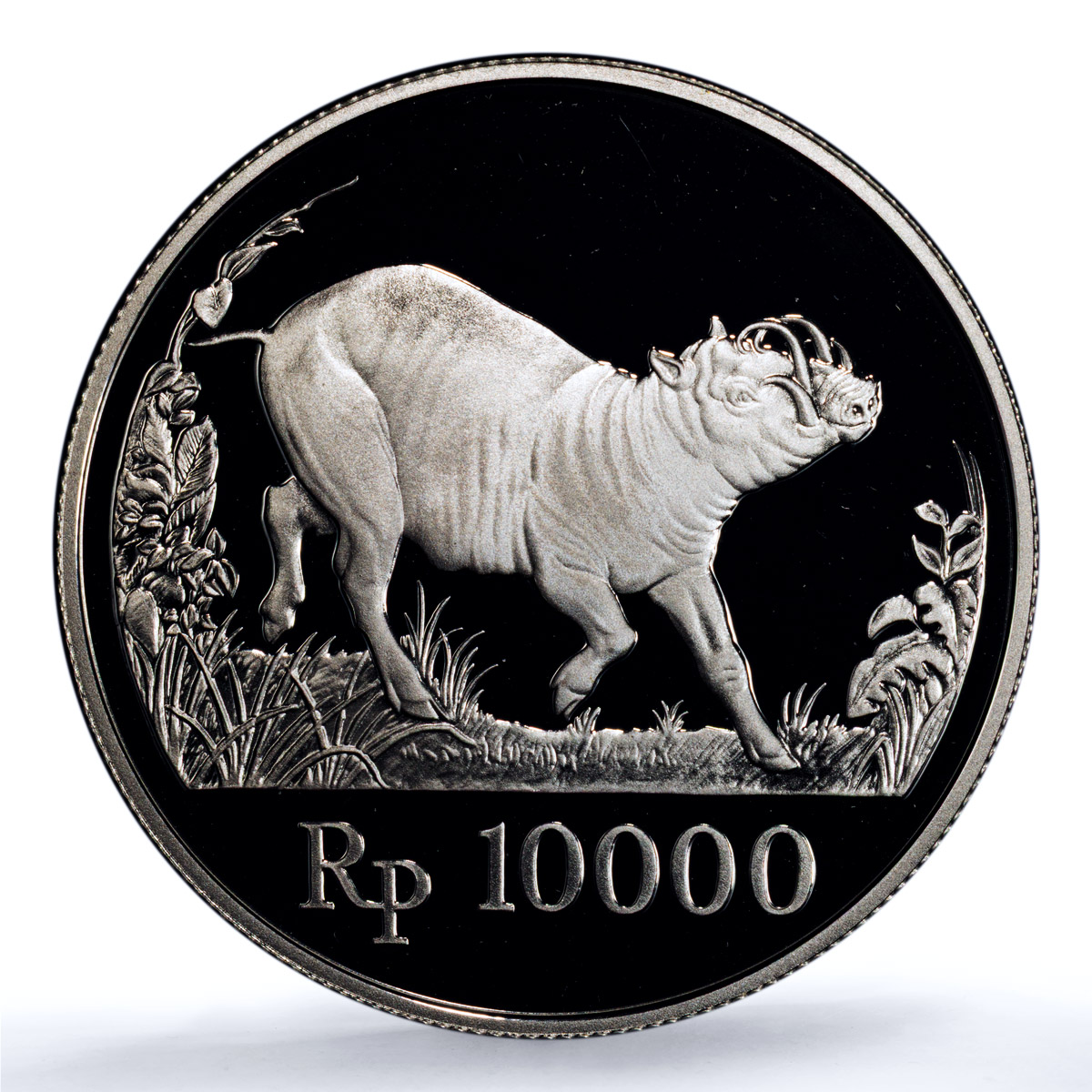 Indonesia 10000 rupiah Babi Rusa KM-45 Wildlife Pig PR 69 PCGS silver coin 1987