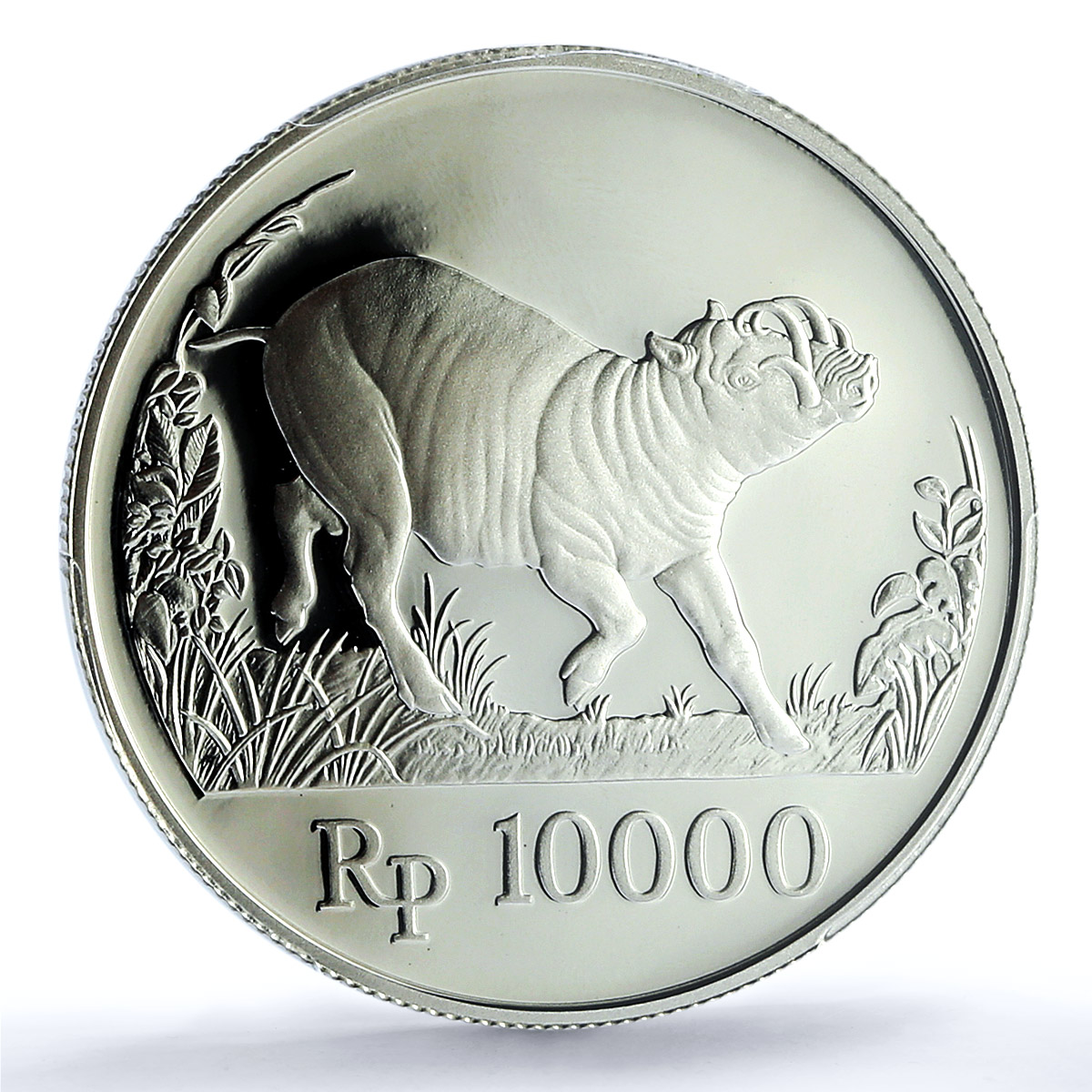 Indonesia 10000 rupiah Babi Rusa KM-45 Wildlife Pig PR 69 PCGS silver coin 1987