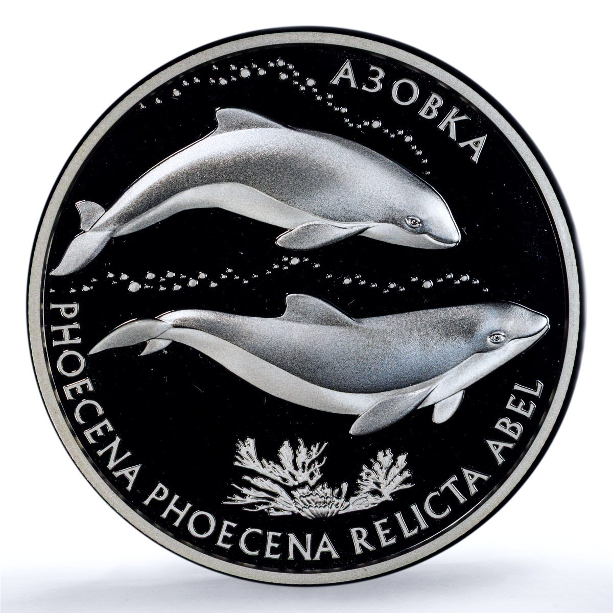 Ukraine 10 hryvnias Azov Dolphin KM-206 Marine Fauna PR 69 PCGS silver coin 2004
