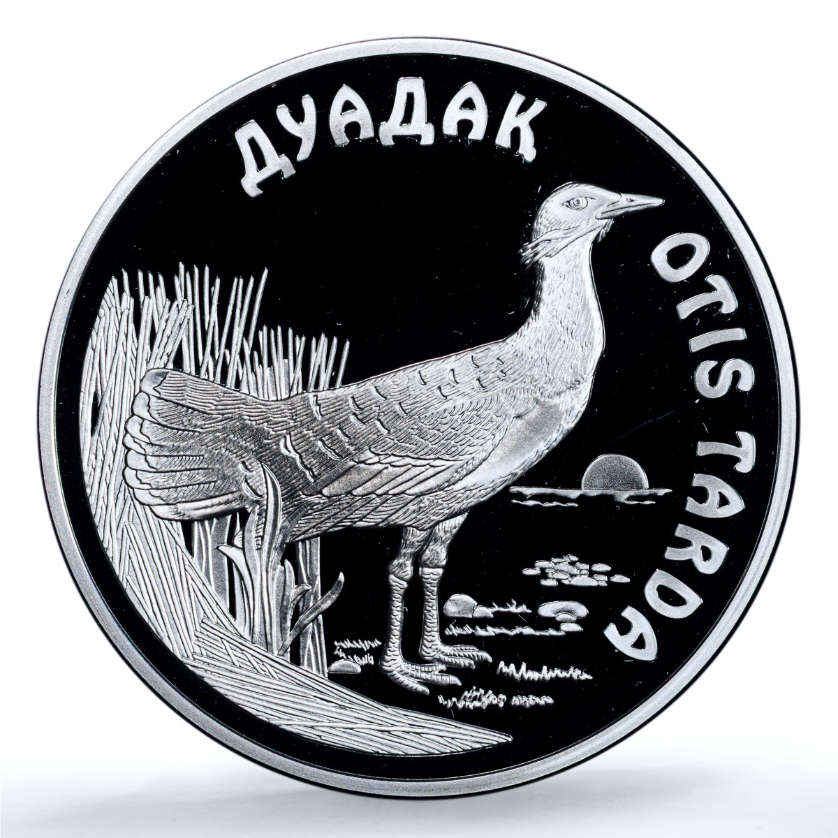 Kazakhstan 500 tenge Bustard KM-53 Fauna Bird PR 68 PCGS silver coin 2003oin 20