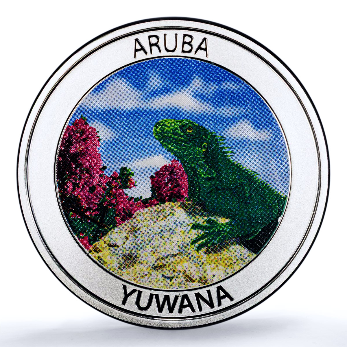 Aruba 5 florins Yuwana KM-68 Wildlife Fauna Lizard PR 70 PCGS silver coin 2021 Aruba 5 florins Yuwana KM-68 Wildlife Fauna Lizard PR 70 PCGS silver coin 2021