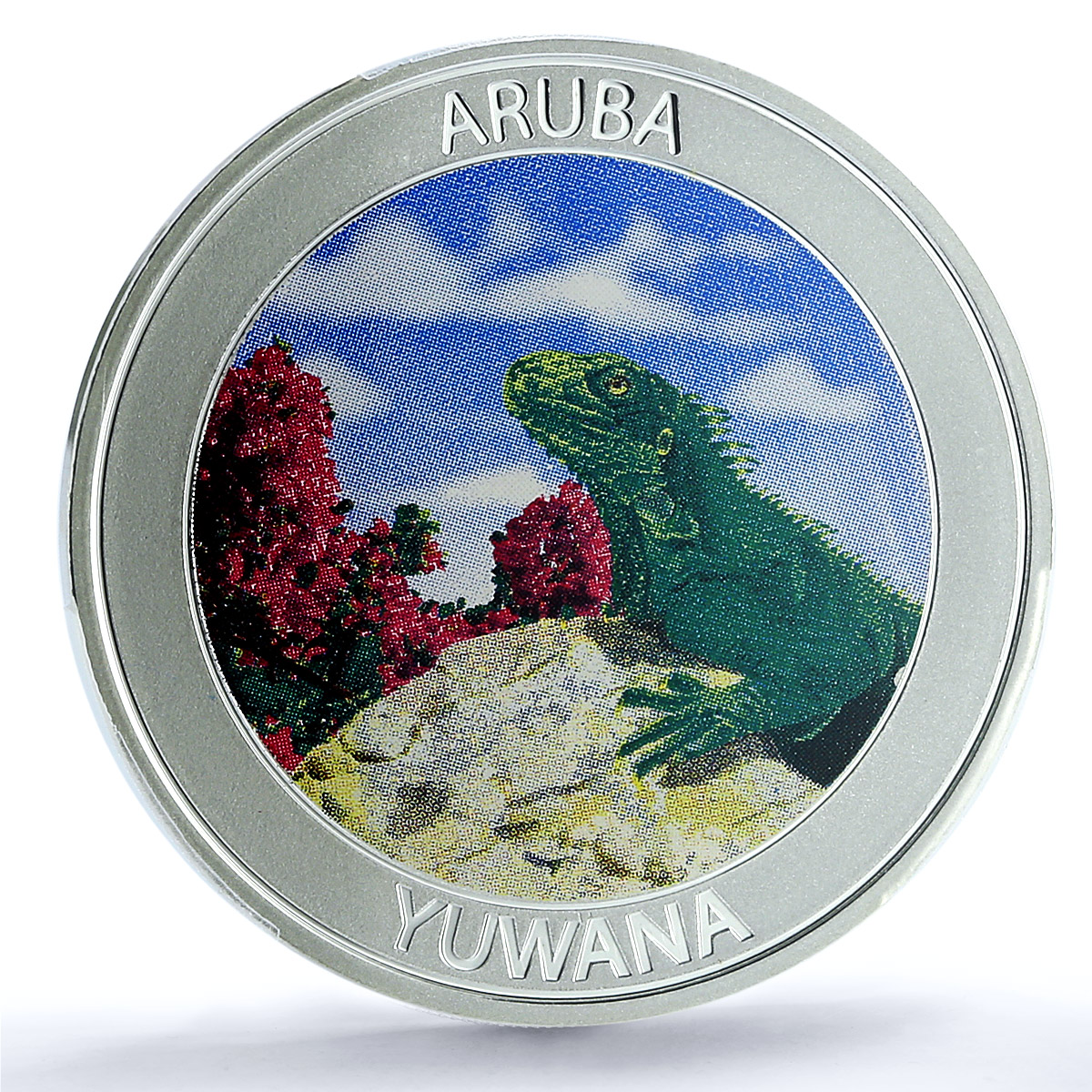 Aruba 5 florins Yuwana KM-68 Wildlife Fauna Lizard PR 70 PCGS silver coin 2021 Aruba 5 florins Yuwana KM-68 Wildlife Fauna Lizard PR 70 PCGS silver coin 2021