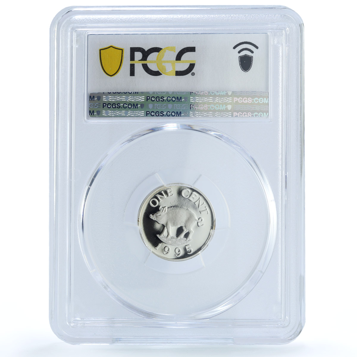 Bermuda 1 cent Elizabeth II KM-44c Wild Boar Pig PR 69 PCGS silver coin 1995