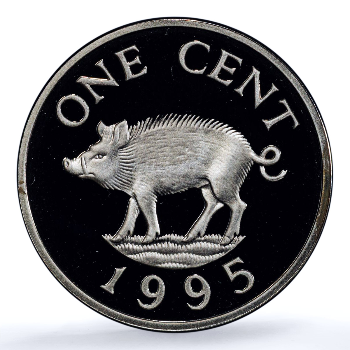 Bermuda 1 cent Elizabeth II KM-44c Wild Boar Pig PR 69 PCGS silver coin 1995