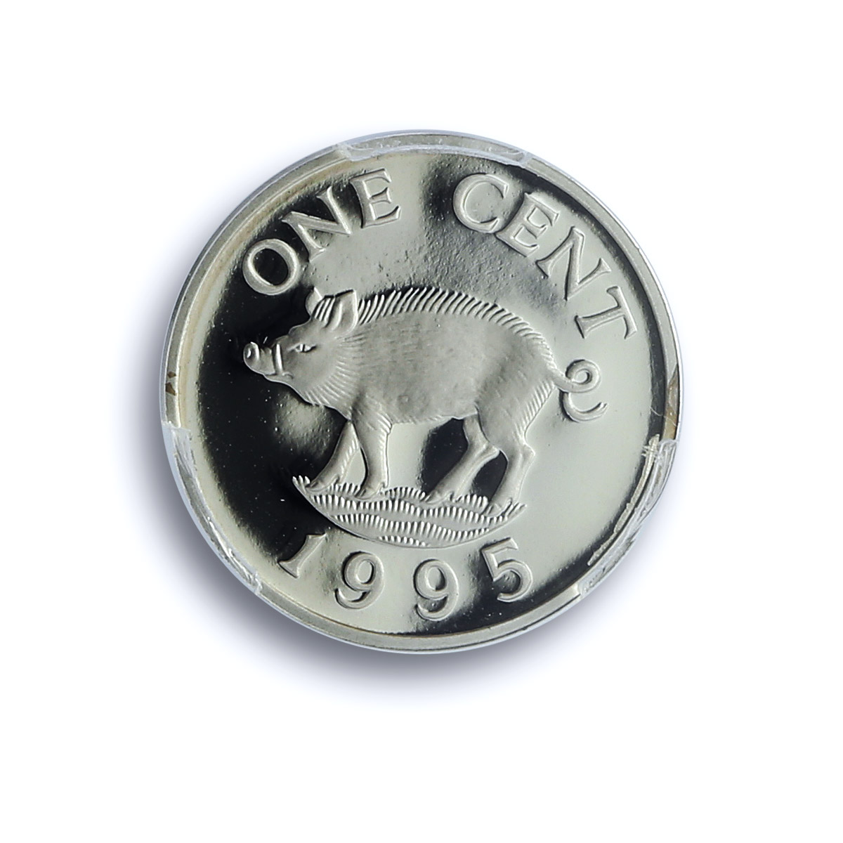 Bermuda 1 cent Elizabeth II KM-44c Wild Boar Pig PR 69 PCGS silver coin 1995